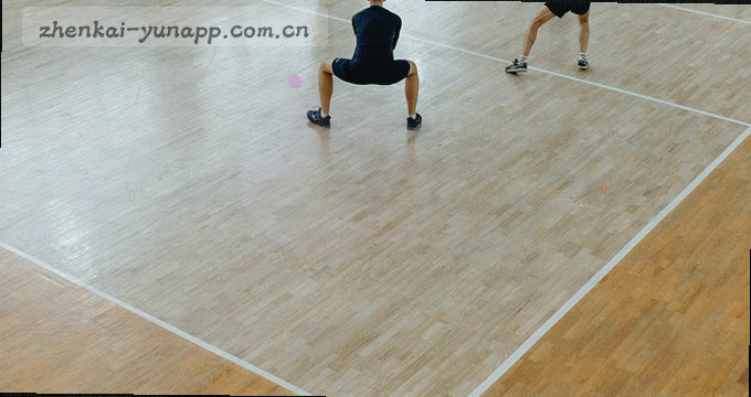手机相册权限申请界面显示